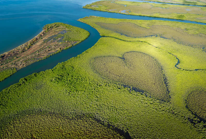 Aerial view of  the mangroves of New Caledonia form the shape of a heart