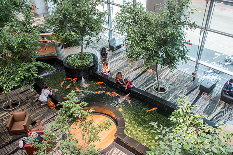 Aerial view of the Terminal 3 koi pond at Singapore Changi Airport