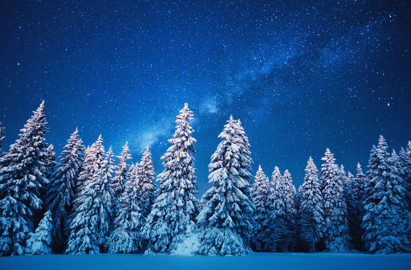 A starry winter night