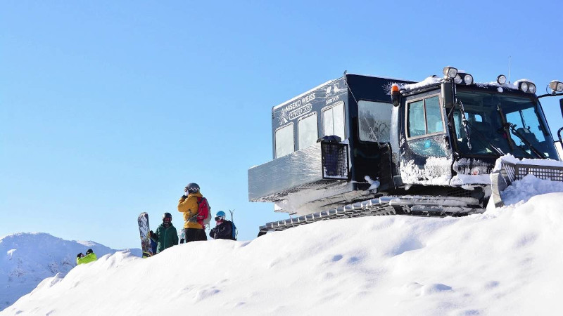 Niseko Weiss Powdercats