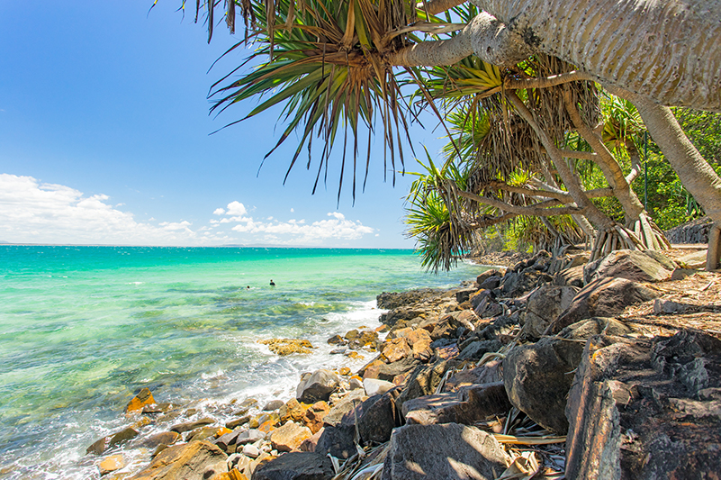 beach in Noosa