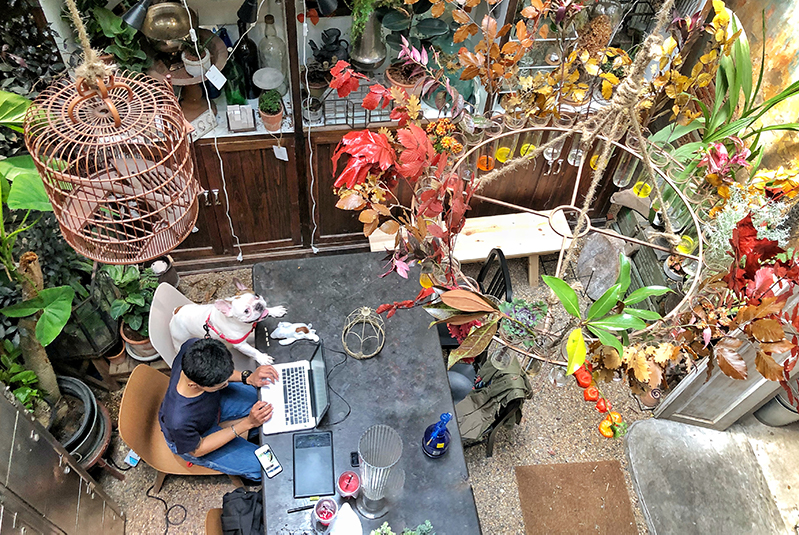 Man working in Oneday Wallflower cafe, Bangkok