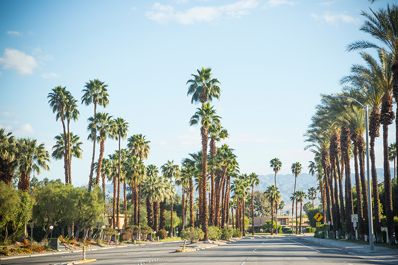 Palm Springs street
