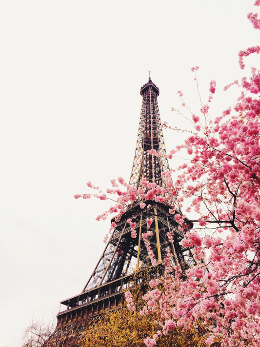 Looking up at the Eiffel Tower