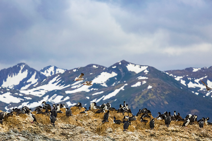 patagonia's top sights -Ainsworth bay