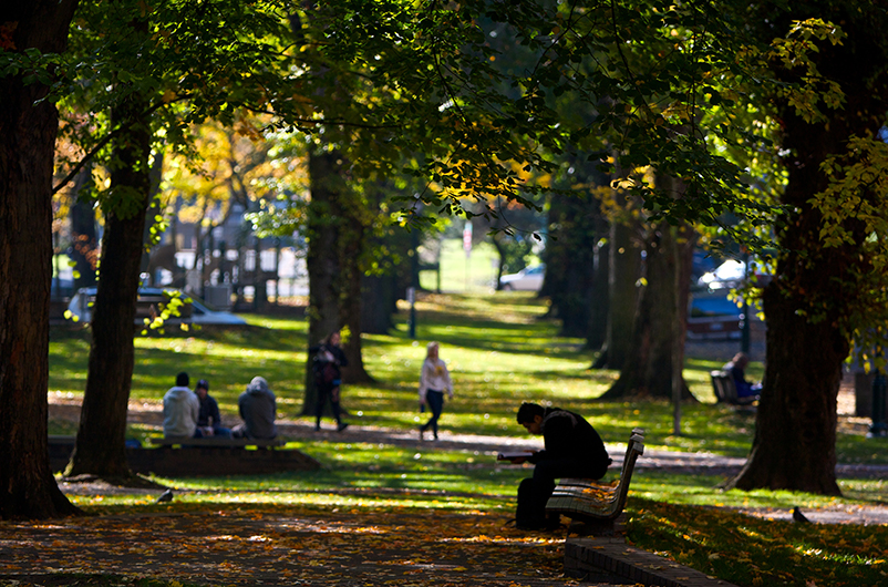 South Park Blocks add greenery to Downtown Portland