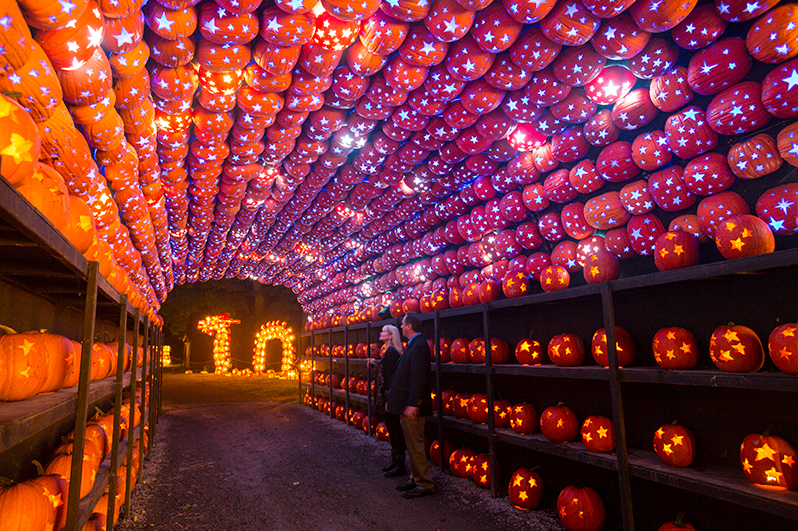 the Pumpkin Planetarium at the Great Jack O' Lantern Blaze