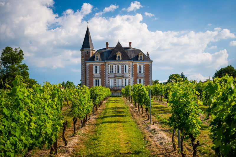 castle and vineyard in Bordeaux, france