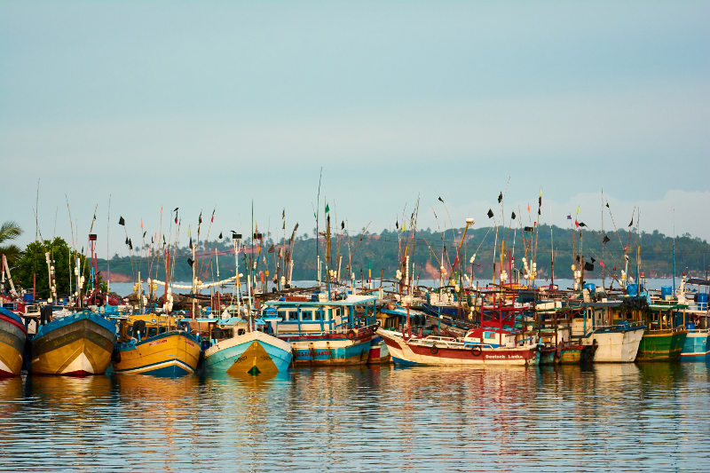 Fishing boats in the Mirissa harbour, Sri Lanka.