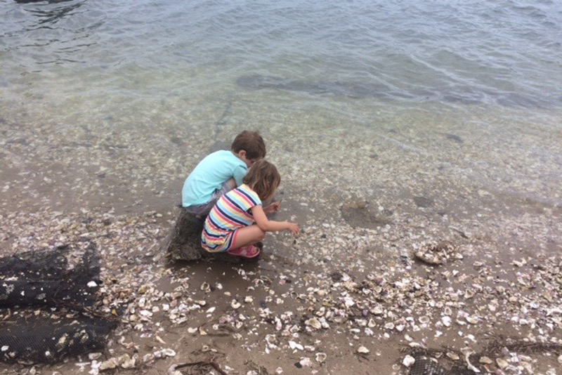 children exploring water's edge at yamba new south wales