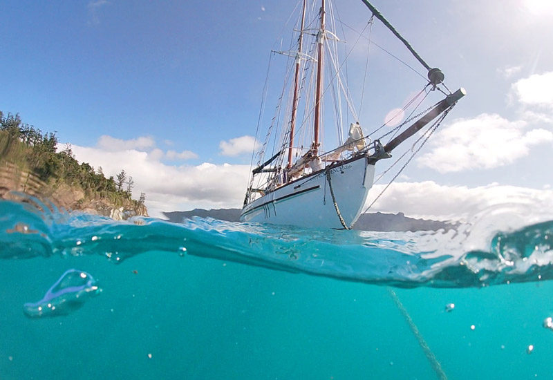sailing the whitsundays
