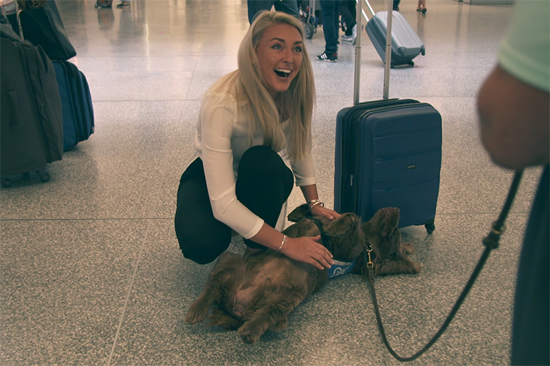 A woman pats a dog from the Wag Brigade at SFO.