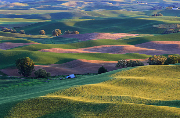 The rolling hills of the Palouse in Idaho, USA.