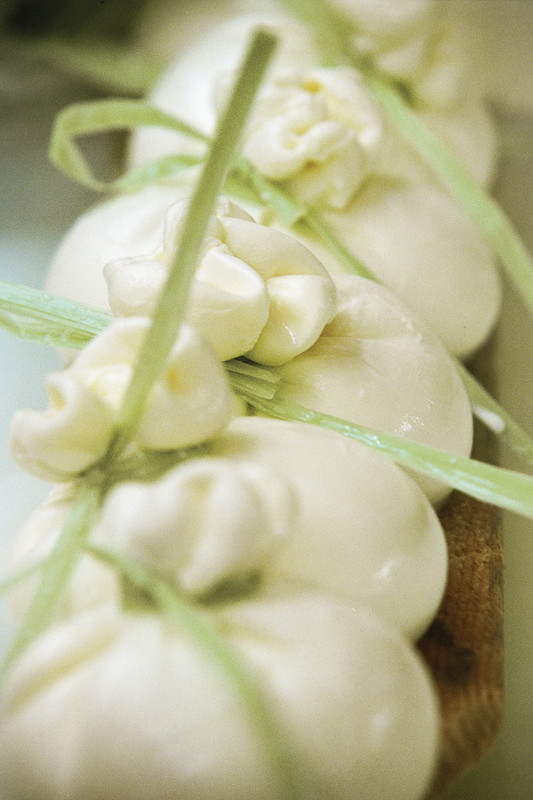 Beautifully presented burrata close up.