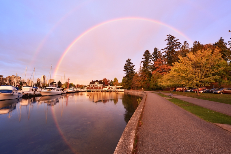 The waterfront in Stanley Park