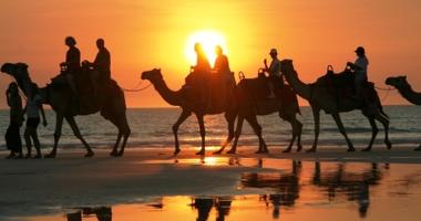Enjoy a camel ride at sunset