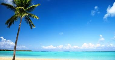 Discover paradise on a tropical island cruise