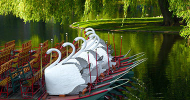 Swan Boats, Boston Public Garden
