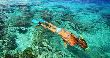 Snorkel the Turquoise Waters