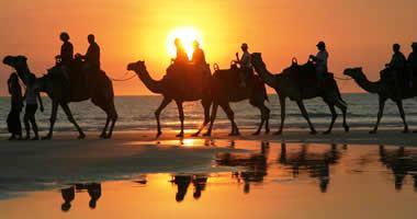 Camel riding in Broome