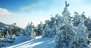 Kitzbuhel Ski Resort Great Packages Deals Flight Centre