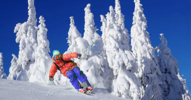 Picture Perfect Conditions