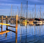 Marina, Coffs Harbour, New South Wales