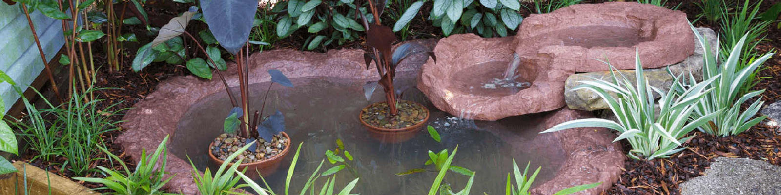 A garden pond.