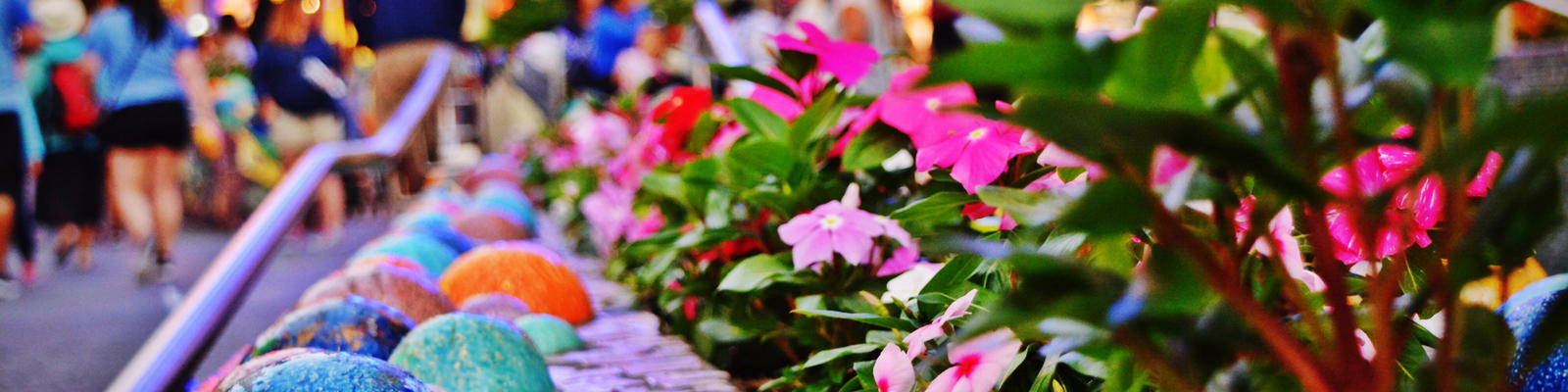 Anaheim, California Tips for visiting Anaheim