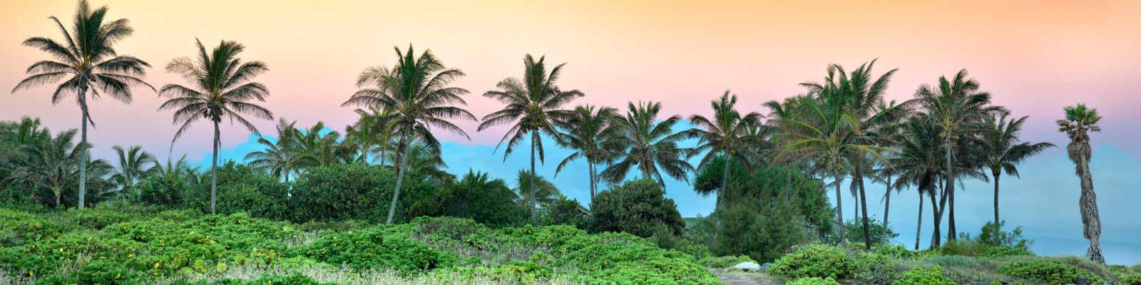 Maui.