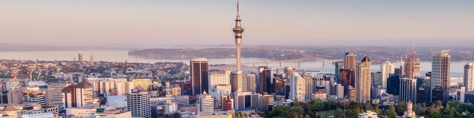 auckland skyline
