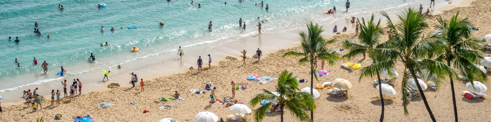 hawaii beach