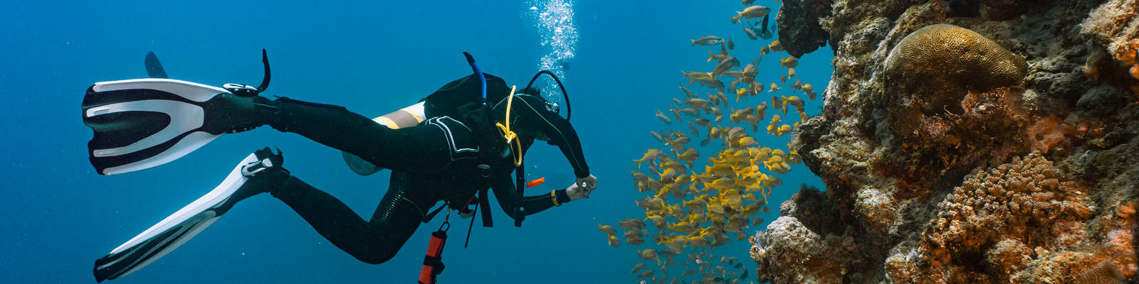 scuba diving great barrier reef