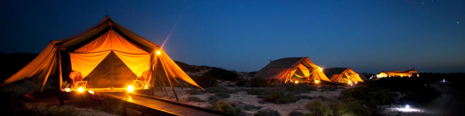Luxury tents lit up under the starry night sky