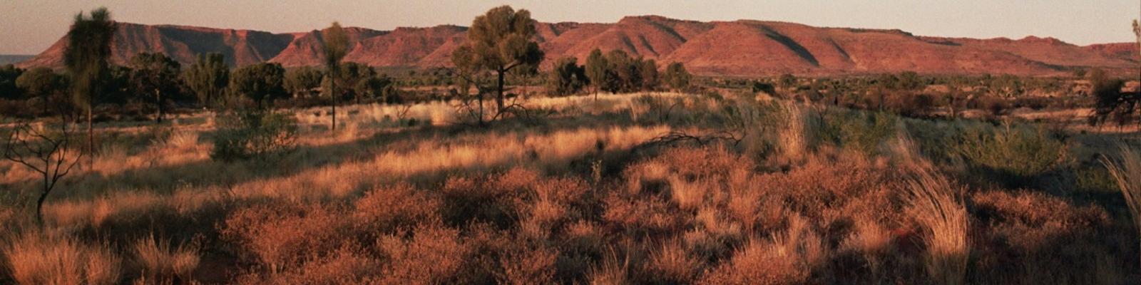 Kings Canyon sunset