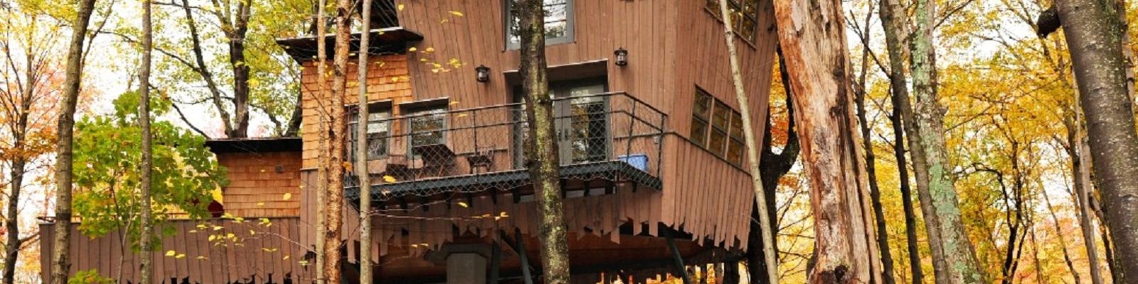 Tree houses, apart from being unique places to stay, are an absolute delight if you're a nature lover. Photo: Tranquil Resort.