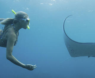swimming with manta rays in fiji