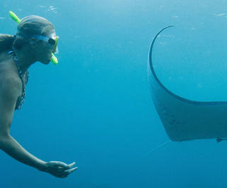 woman swimming with manta ray