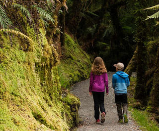 children walking through forest in new zealand
