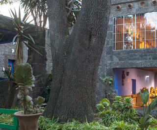 The blue wall and lush gardens of the Blue House Frida Kahlo Museum in Mexico City.