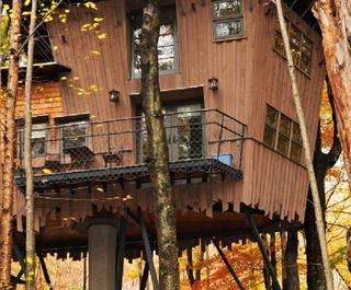 Tree houses,  apart from being unique places to stay, are an absolute delight if you're a nature lover. Photo: Tranquil Resort.