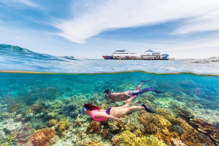 snorkellers on reef with pontoon behind queensland