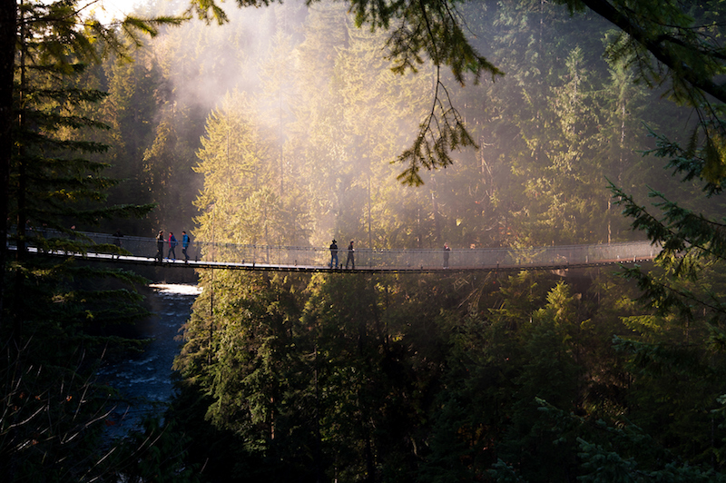 The Capilano Suspension Bridge