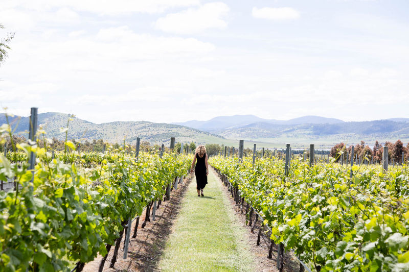 girl in vineyards coal river tasmania
