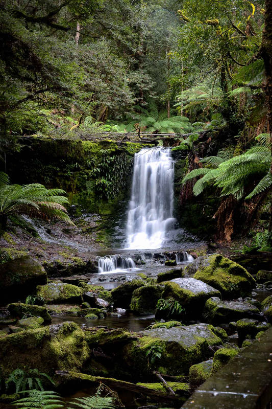 horseshoe falls tasmania