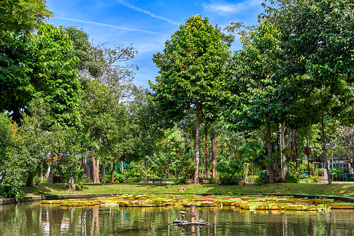 Bangkok Parks And Nature | Travel Guide | Flight Centre