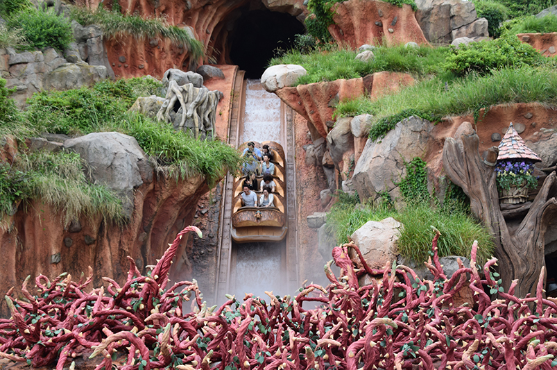 Ride at Tokyo Disneyland