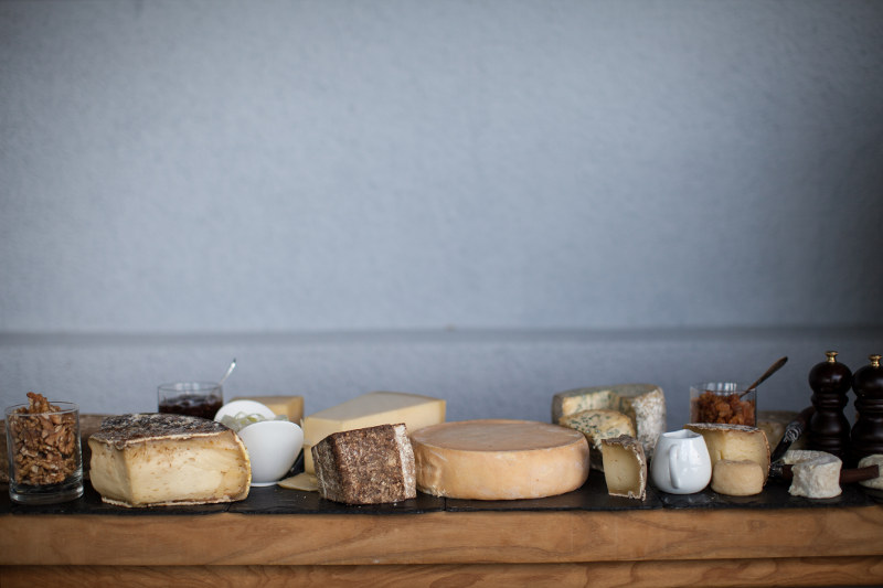 Cheeses lined up on a table.