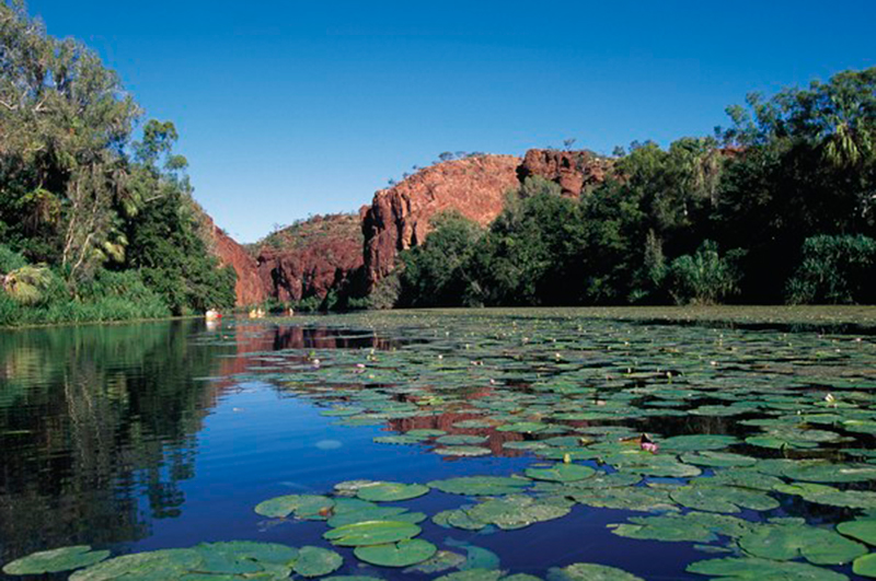 Lawn Hill Gorge, Queensland