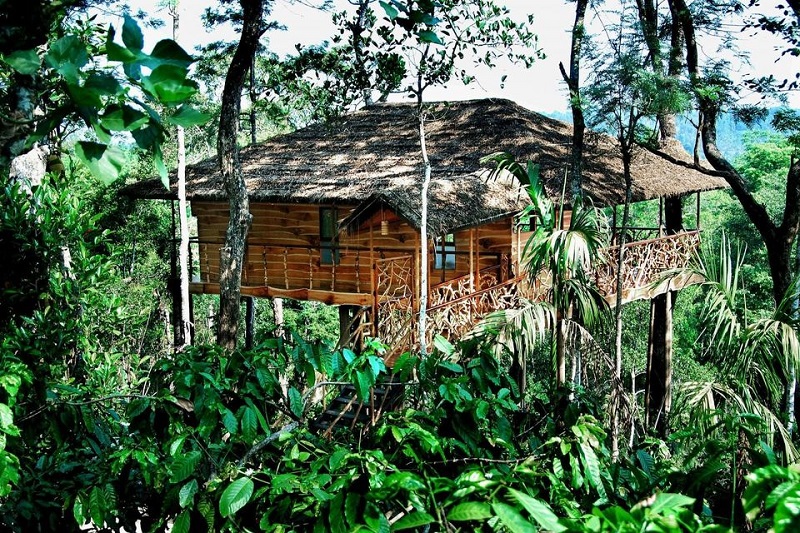 If this doesn't say 'Tranquil' we don't know what does? Photo: Tranquil Palms Resort.